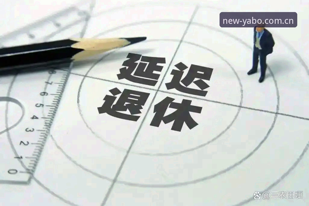 资深用户实测：雅博体育手机安装最新版2026实战经验与行业趋势解读